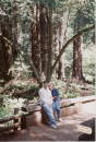 1994California
